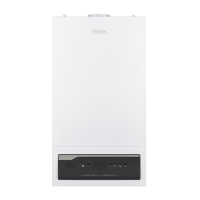 Газовый котёл  Haier ProLine S 1.32 ТiW