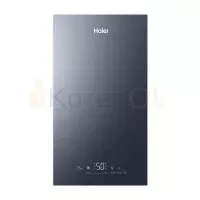 Газовый котёл  Haier EvoLine 2.32 ТI